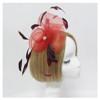 Women Peacock Eye Feather Headband Bridal Fascinator Hair Clip Headpieces