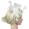 Women Peacock Eye Feather Headband Bridal Fascinator Hair Clip Headpieces