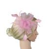 Women Peacock Eye Feather Headband Bridal Fascinator Hair Clip Headpieces